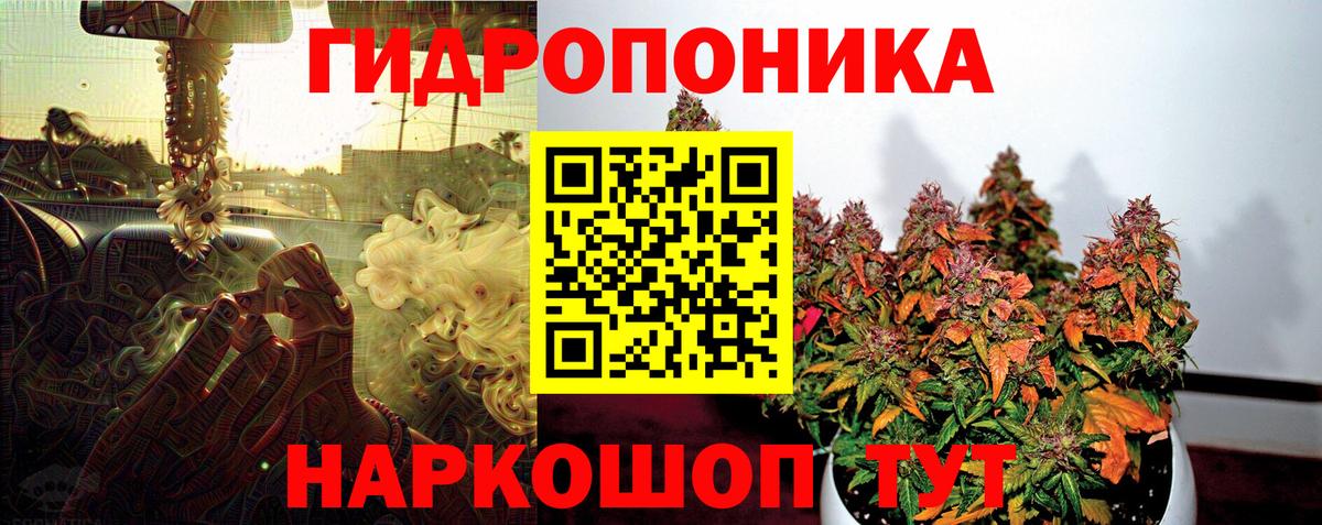 Сосновый Бор  Канабис тримм  Конопля индика  Вход с VPN  Канабис MAZAR  Шишки марихуана OG Kush 